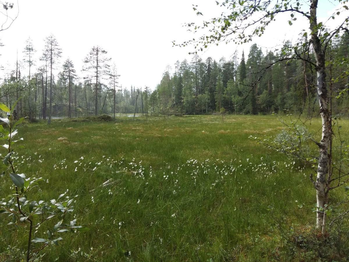 Salmikankaankelo C4 Rukatunturi Exterior foto
